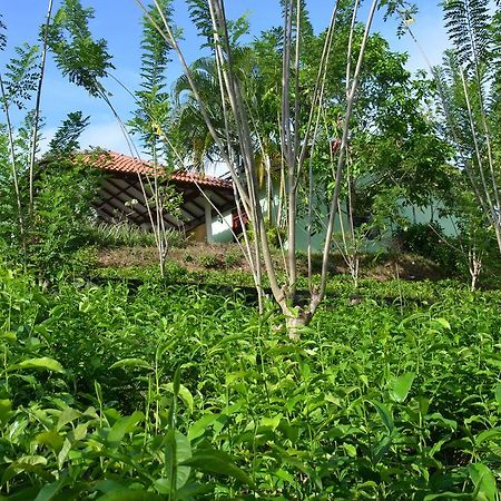 Oriole Villas Бентота Екстериор снимка